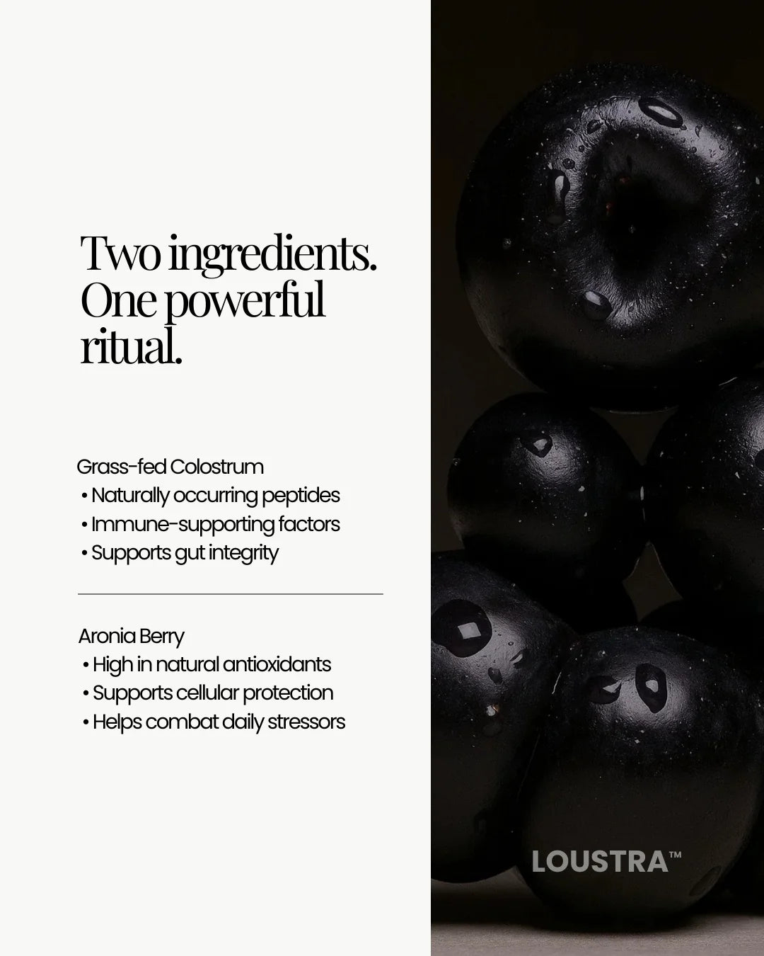 Loustra® Vital Gut Tonic – Colostrum & Aronia | Naturally Flavoured | No Artificial Sweeteners